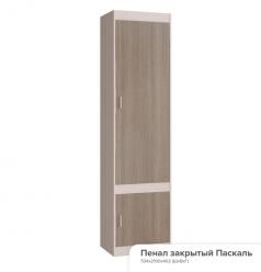 Шкаф закрытый в детскую комнату Паскаль