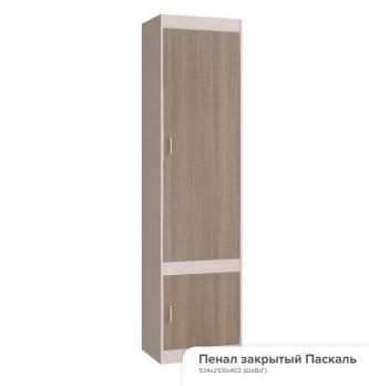 Шкаф закрытый в детскую комнату Паскаль (БТС)БТС Шкаф закрытый в детскую комнату Паскаль Шкаф закрытый в детскую комнату Паскаль (БТС)БТС Шкаф закрытый в детскую комнату Паскаль